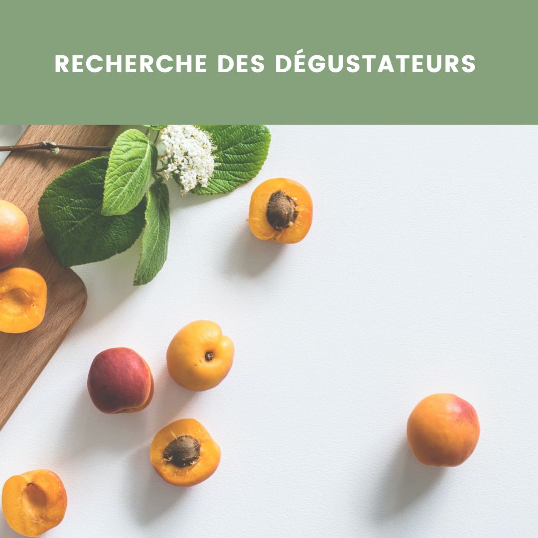 ✨Développons ensemble notre nouvelle gamme!